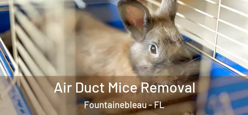 Air Duct Mice Removal Fountainebleau - FL