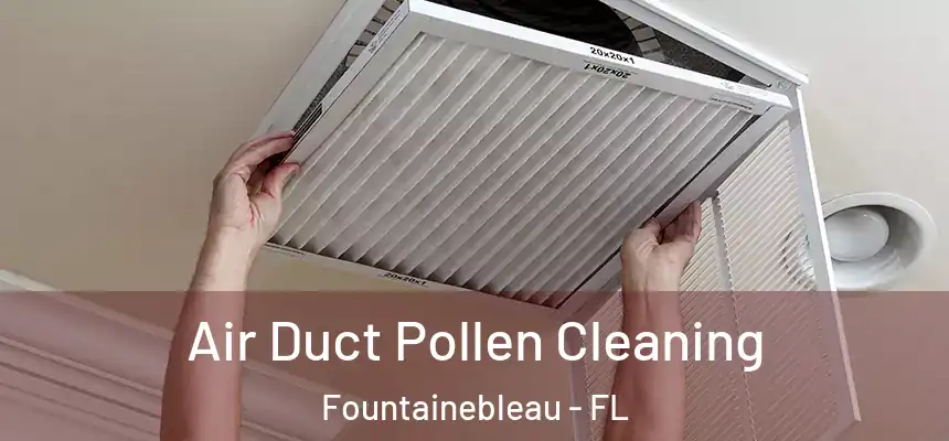 Air Duct Pollen Cleaning Fountainebleau - FL