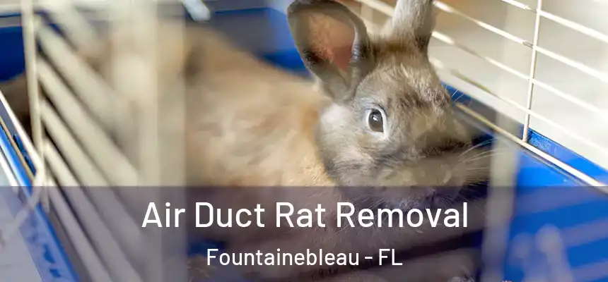 Air Duct Rat Removal Fountainebleau - FL
