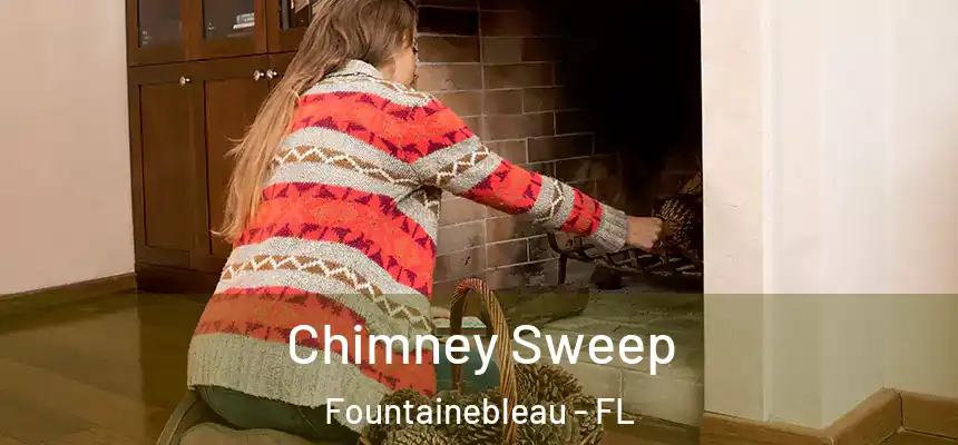 Chimney Sweep Fountainebleau - FL