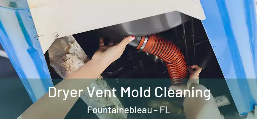 Dryer Vent Mold Cleaning Fountainebleau - FL