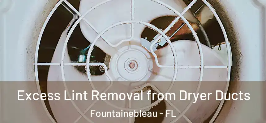  Excess Lint Removal from Dryer Ducts Fountainebleau - FL
