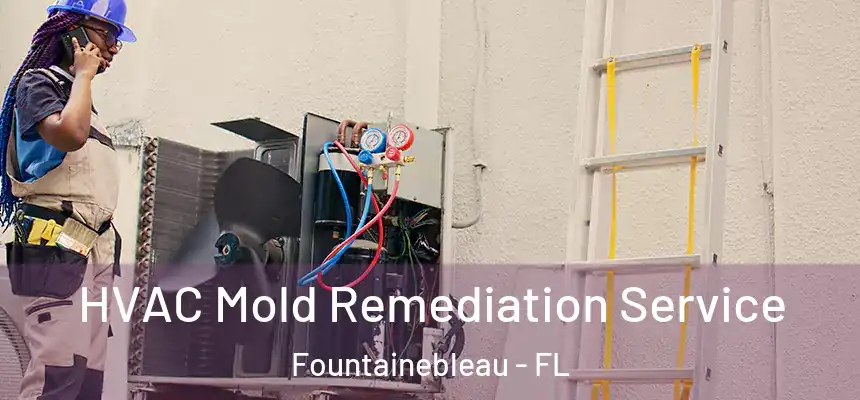 HVAC Mold Remediation Service Fountainebleau - FL