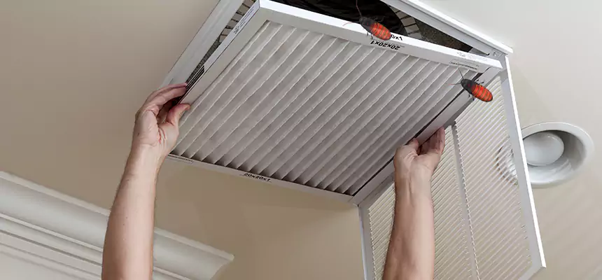 Preventive Cockroach-Proofing for Ducts in Fountainebleau