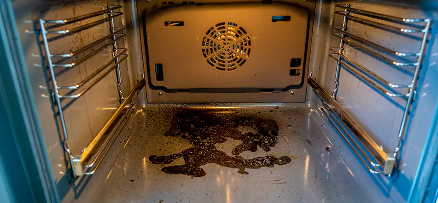 Our Dryer Vent Mold Cleaning Services in Fountainebleau, FL