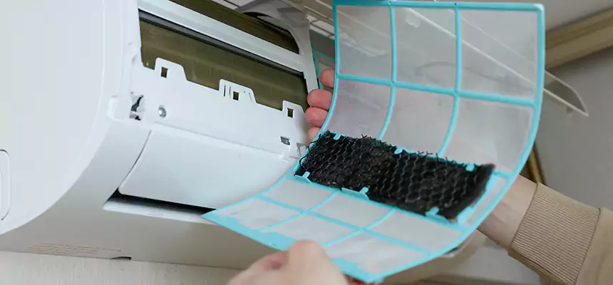 Gentle Ductwork Odor-Control Pet Dander Duct Cleaning in Fountainebleau, FL