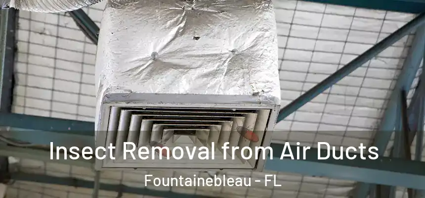 Insect Removal from Air Ducts Fountainebleau - FL