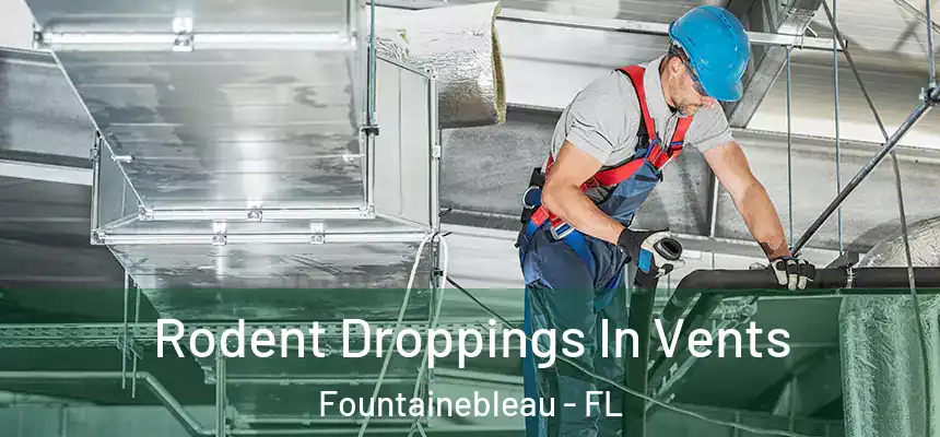  Rodent Droppings In Vents Fountainebleau - FL