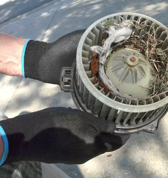 About Air Duct Mice Removal in Fountainebleau, FL