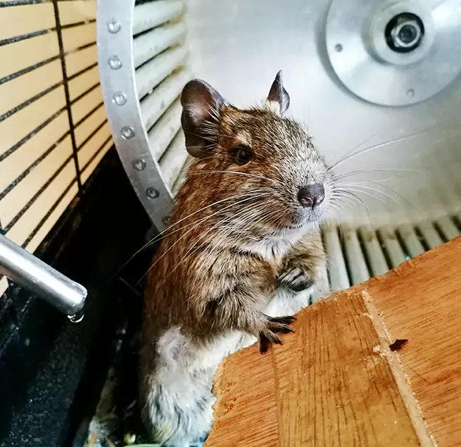 Why Homeowners & Businesses Trust Us Fountainebleau, FL?