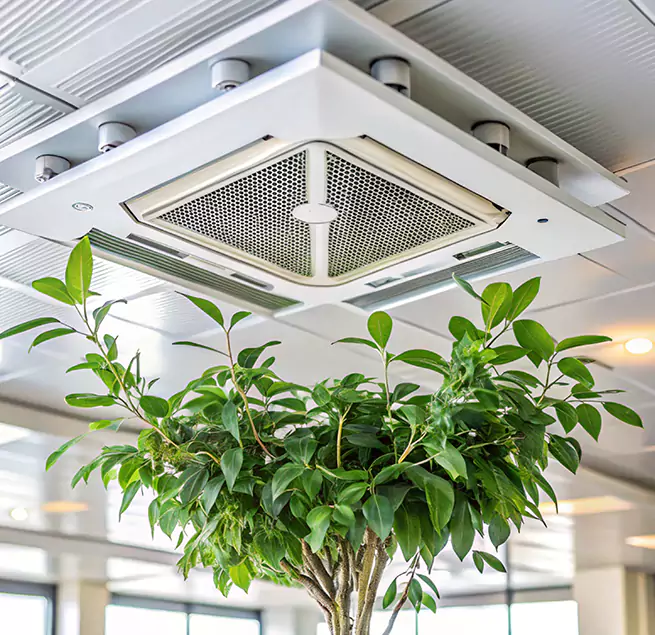 Why Homeowners & Businesses Trust Us in Fountainebleau, FL?