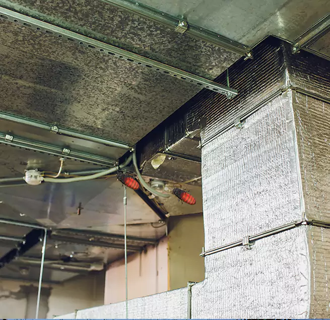 Why Homeowners & Businesses Trust Us Fountainebleau, FL?