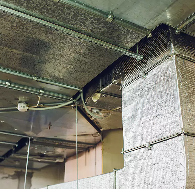 Why Homeowners & Businesses Trust Us in Fountainebleau, FL?