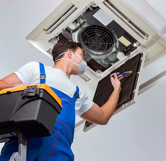 Why Homeowners & Businesses Trust Us in Fountainebleau, FL?